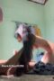 Pacarku Cantik tak sadar direkam Pacarku Cantik tak sadar direkam, Kumpulan Video Dewasa , Pusat Film Dewasa, Video Viral , Viral 2024, Film Hot Dewasa, Hasrat21, Nonton Film Dewasa, Video Hot